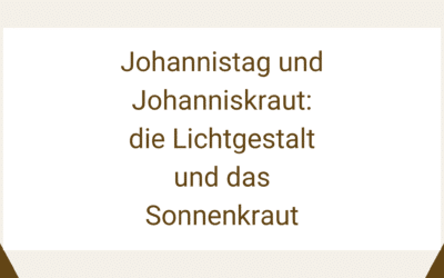 Johannistag und Johanniskraut